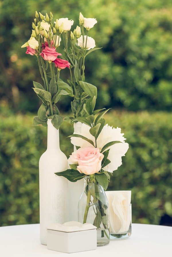 Recetas deliciosas que no puedes ignorar