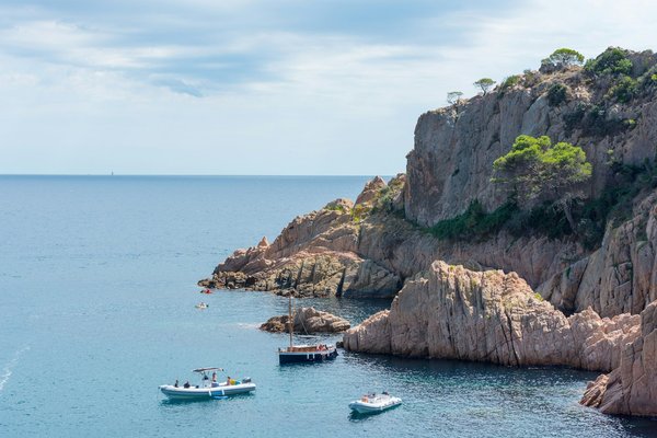 Cómo mantenerse saludable y por qué son importantes