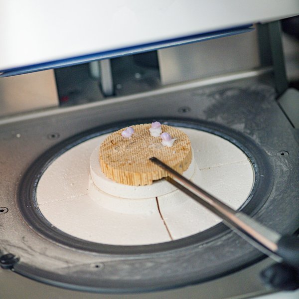 Quali sono le migliori tecniche di corsa per atleti con protesi da corsa?